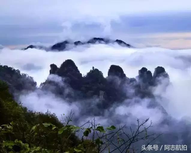 长阳周边的保护区,长阳国家级森林公园图片