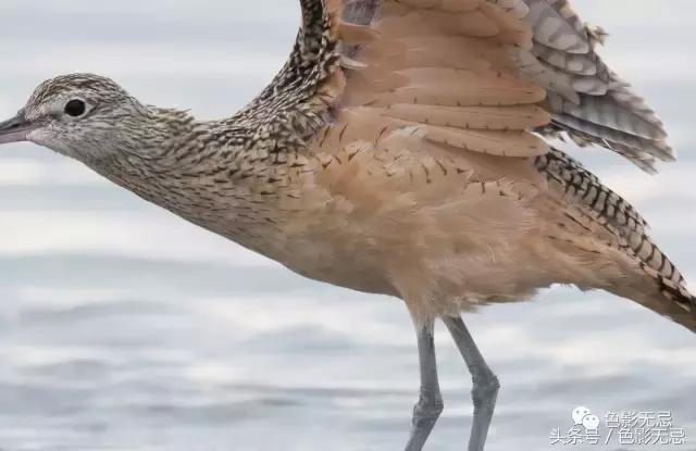 尼康d850数码单反摄影圣经,尼康d850的深度评价