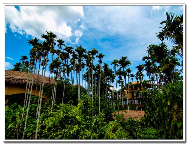 三亚行迹星辰旅行,三亚的空气质量在世界排行