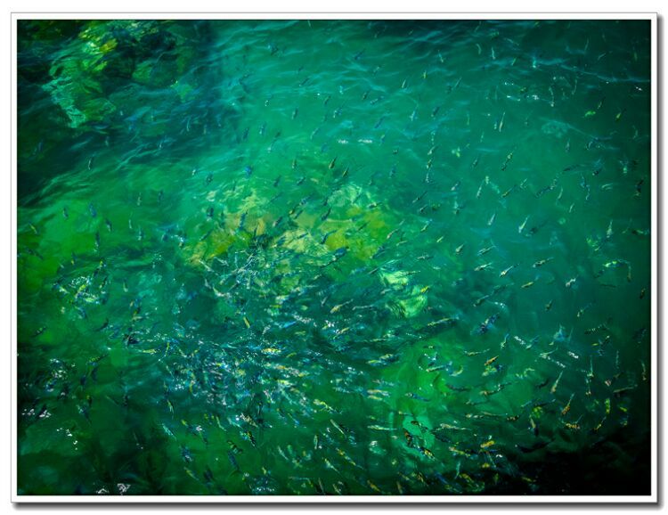 三亚行迹星辰旅行,三亚的空气质量在世界排行