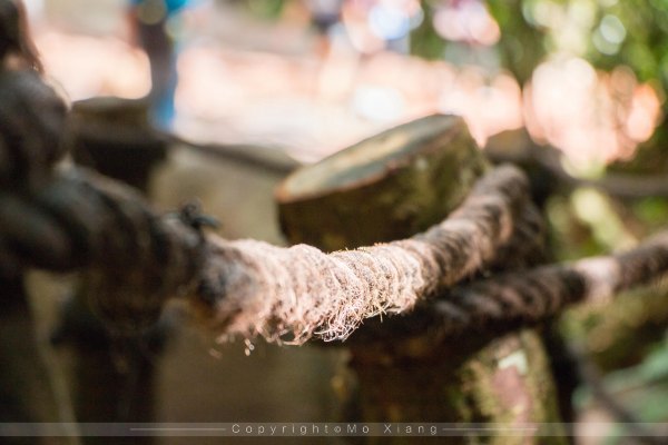 鏅幢椴滀负浜虹煡,鏅幢浣犱笉鐭ラ亾鐨勪簨