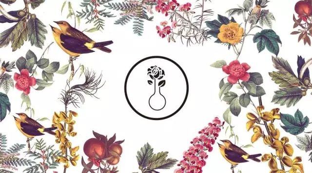 拥有后宫”佳丽三千“的设计师大叔告诉你：什么是美｜手作之美