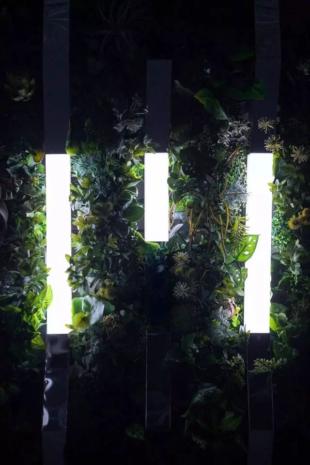 拥有后宫”佳丽三千“的设计师大叔告诉你：什么是美｜手作之美