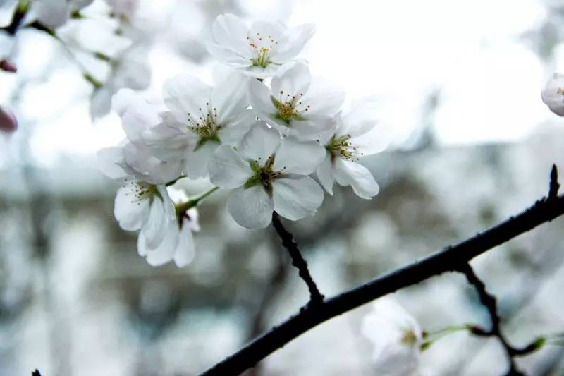 你不该错过歌曲,你不应错过的十大原创好文