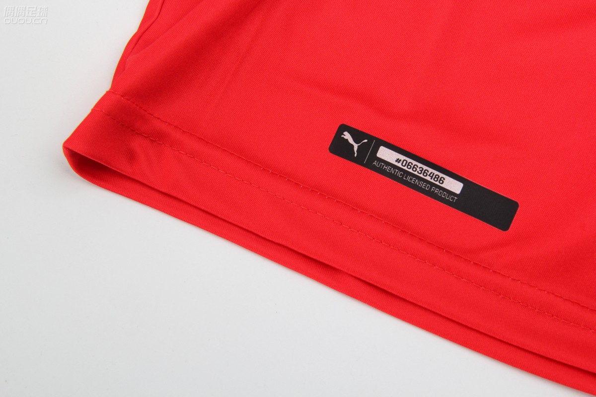 红色雄鹰--PUMA奥地利2016欧洲杯主场球迷版球衣赏析