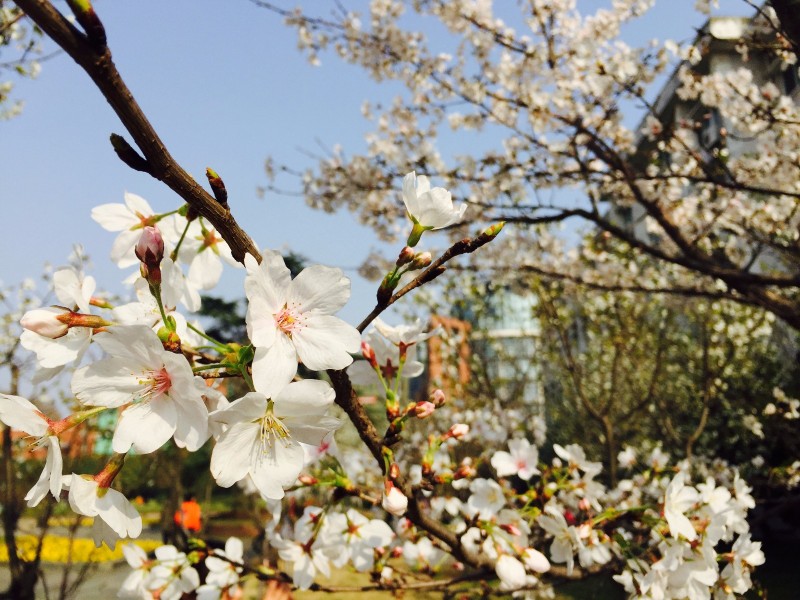 你不该错过歌曲,你不应错过的十大原创好文