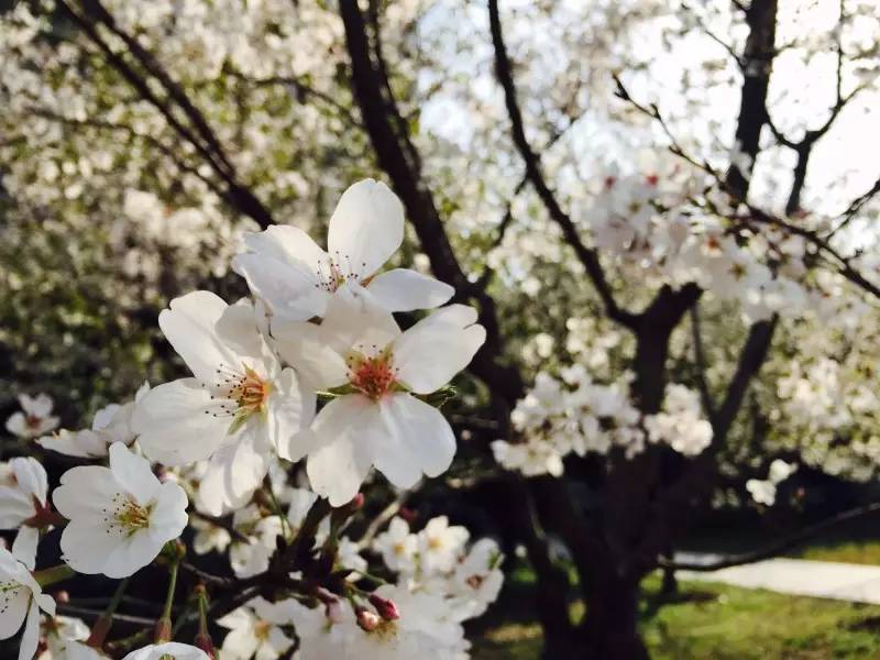 你不该错过歌曲,你不应错过的十大原创好文