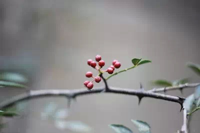 孩子吃重口味脸上斑会很明显,小孩吃什么容易脸上出现小黑点点