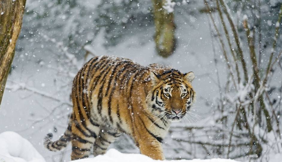 吉林省竟然牛×到如此地步，我却不知道