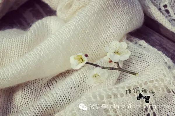 梧桐细雨昔日的钻石披肩----白落梅