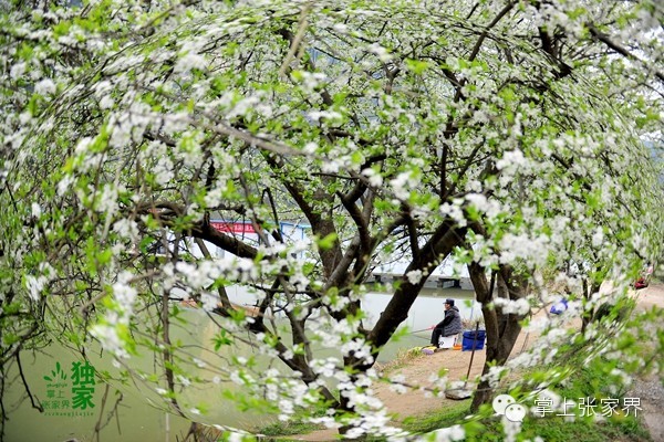 钓了8小时鱼塘老板哭了,黑坑老板被钓鱼人打崩溃