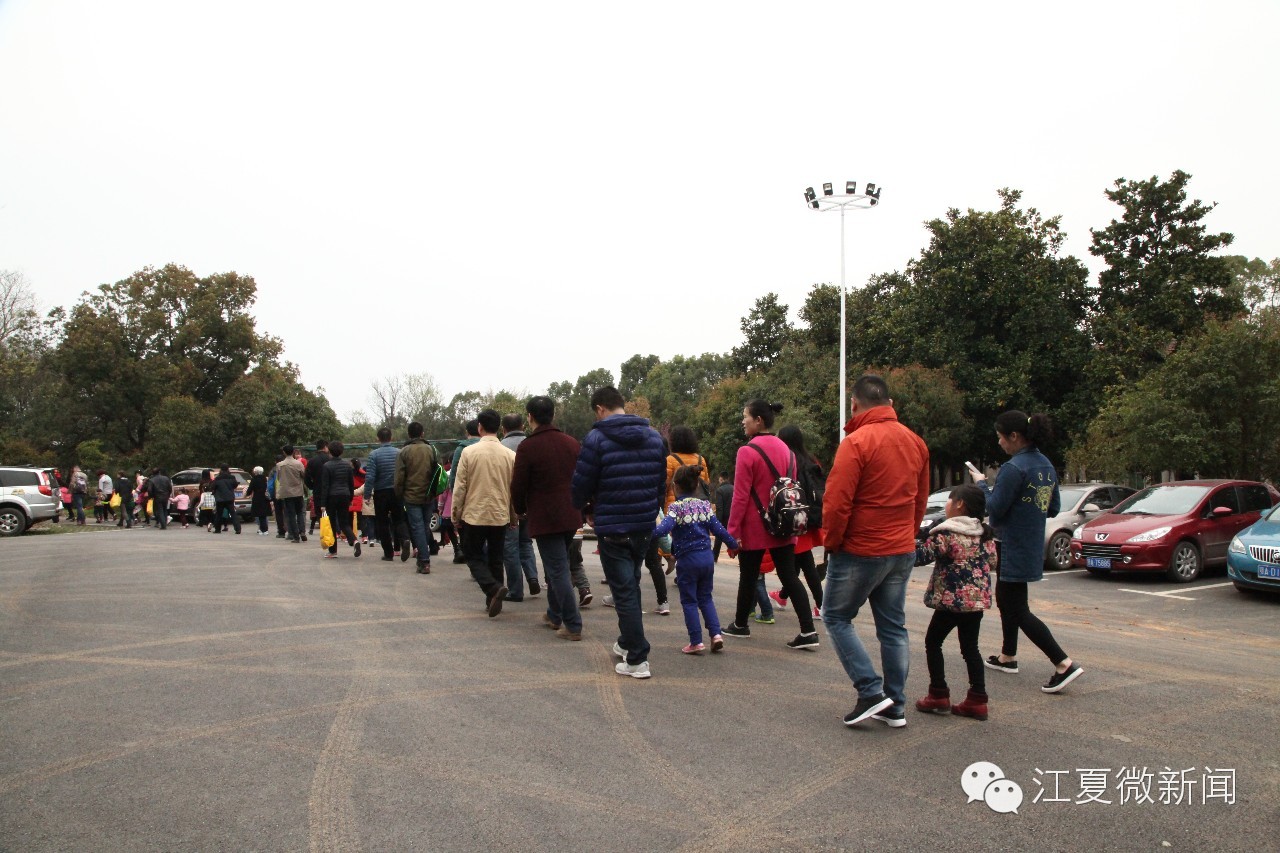 亲子植树活动信息,社区亲子植树活动