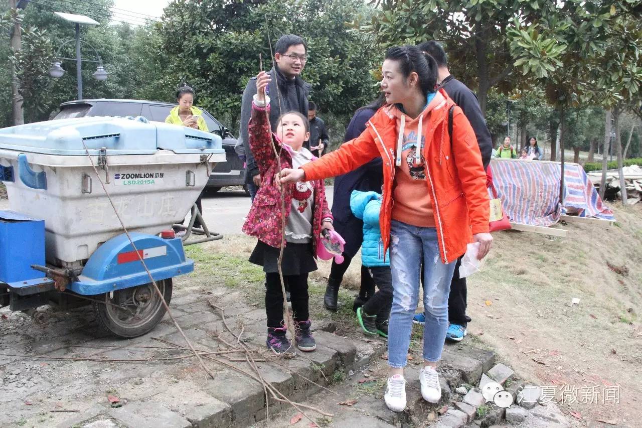 亲子植树活动信息,社区亲子植树活动