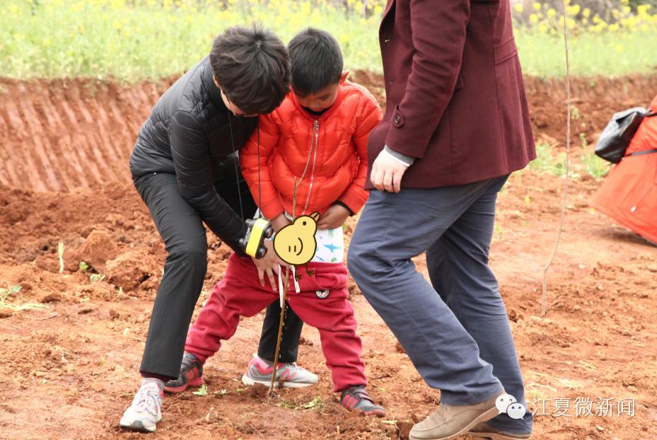 亲子植树活动信息,社区亲子植树活动