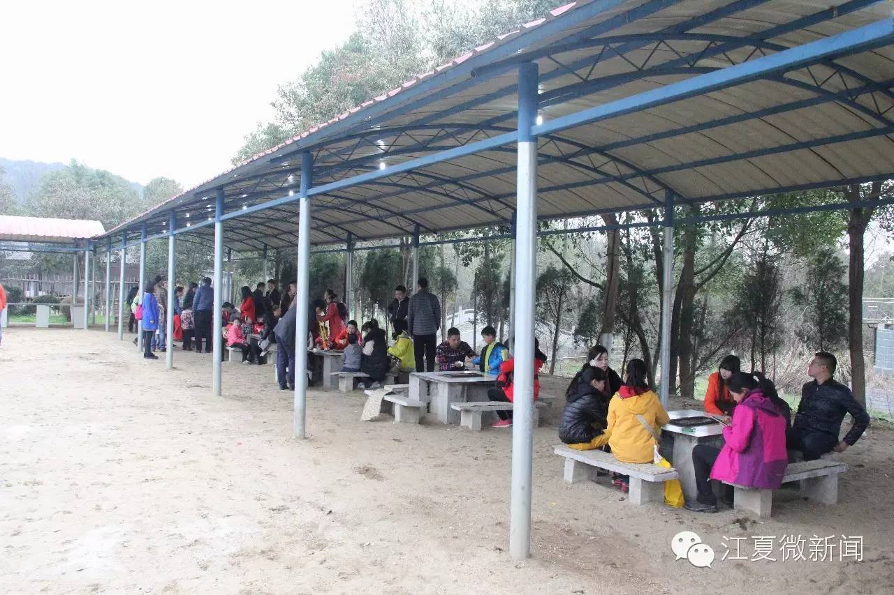 亲子植树活动信息,社区亲子植树活动