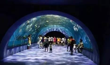 去青岛看海去迪士尼,青岛迪士尼乐园