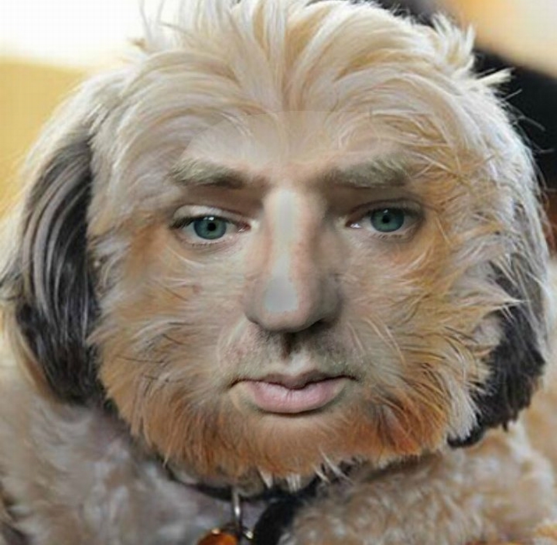 最近很火的换脸app软件免费,网上最近很火的换脸app