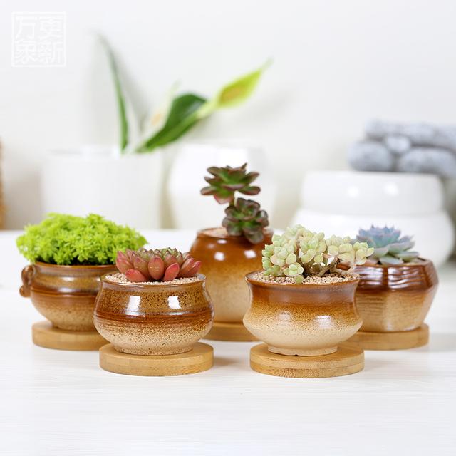 绿萝能除甲醛吗甲醛最怕三个克星,绿萝除甲醛效果最好的方法