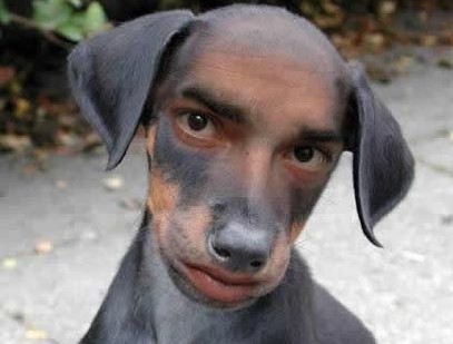 外贸不为人知的秘密,外贸行业的四大套路是什么