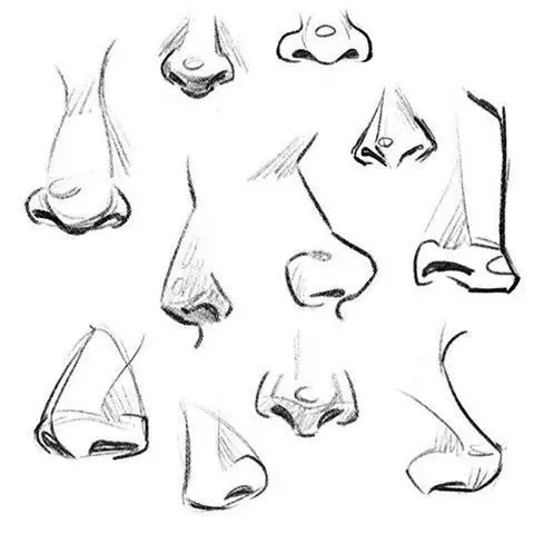 各种鼻子简笔画幼儿,简笔画鼻子的画法