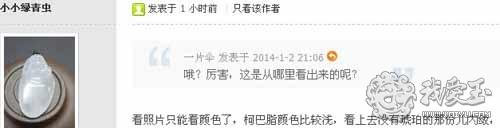 琥珀假原石的鉴别方法,琥珀蜜蜡造假材料