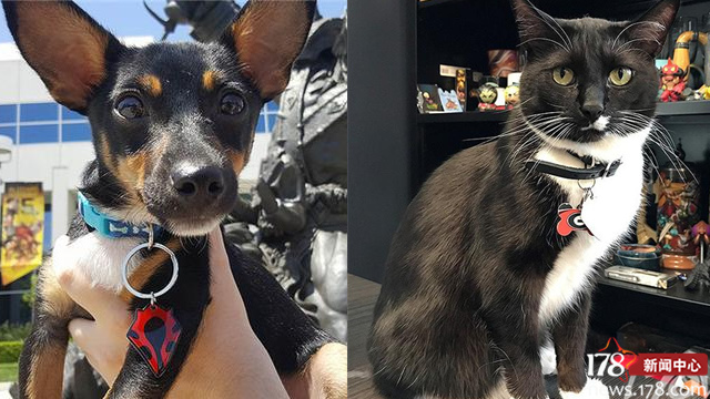 一周轻谈:暴雪的宠物真幸福,300万人一起吃鸡