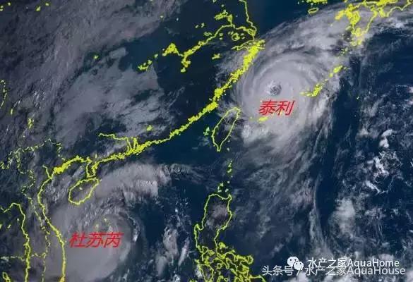 2016全国水产品市场价格,2020年10月22日水产品价格