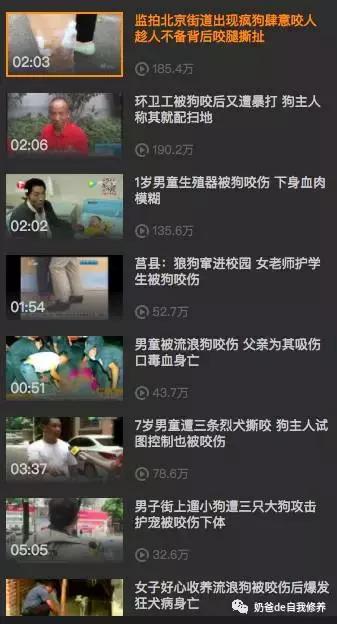 遛狗不牵绳狗害怕,遇到不戴牵引绳的狗怎么处理