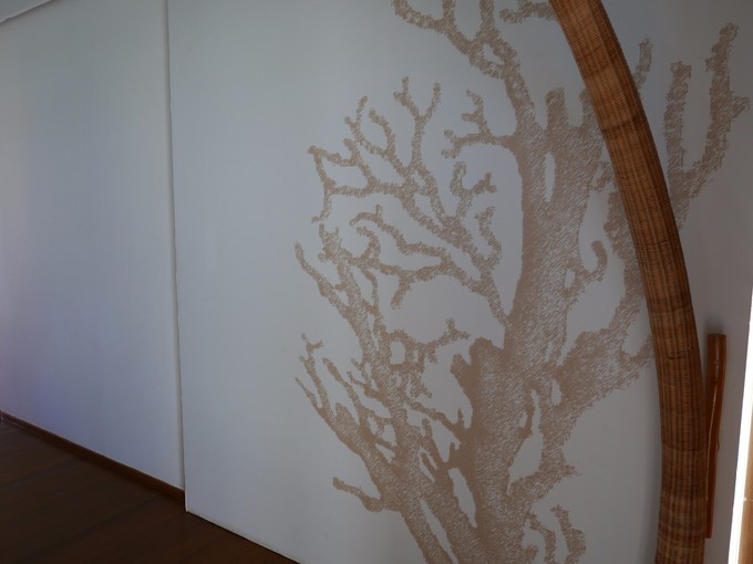 马尔代夫马富士岛浮潜,马尔代夫魔富士