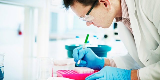 人工授精后第二天排卵成功,男性弱精人工授精成功几率