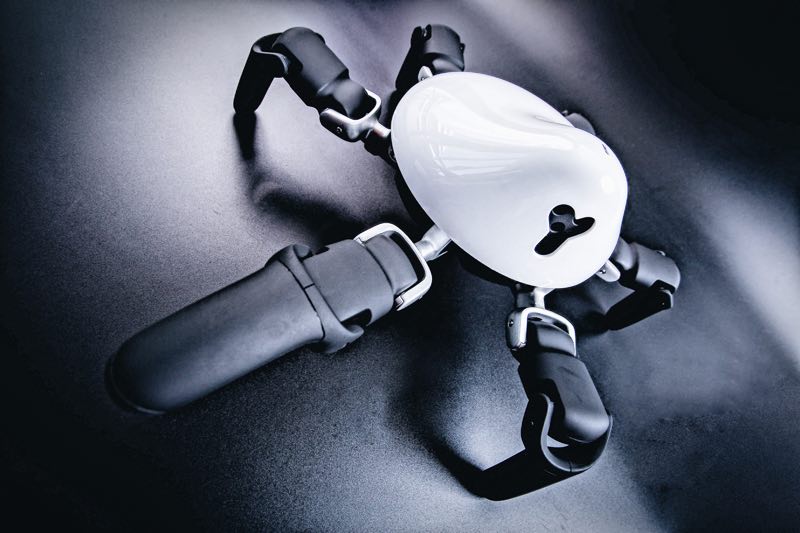 让领导驻足、CCTV采访,全国最大AI生态链“机器时代”到底多强?