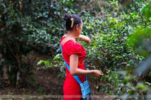 鏅幢椴滀负浜虹煡,鏅幢浣犱笉鐭ラ亾鐨勪簨