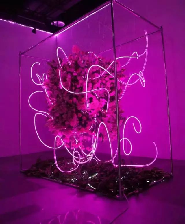 拥有后宫”佳丽三千“的设计师大叔告诉你：什么是美｜手作之美