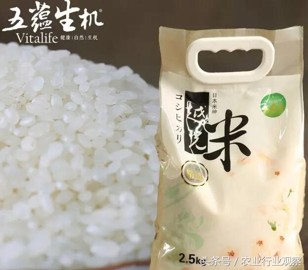中国农业优质稻谷销售价,质量好的日本大米