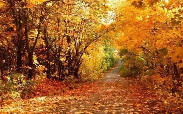 保水有方,女人如何在秋天里过得滋润?