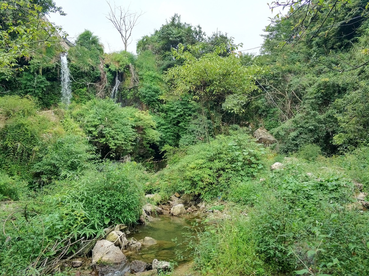 贵阳最近很火的瀑布在哪里,贵阳有个瀑布叫什么