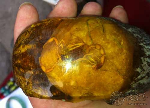 琥珀假原石的鉴别方法,琥珀蜜蜡造假材料