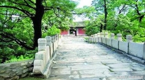 聪明与智慧的作文,聪明与智慧的故事