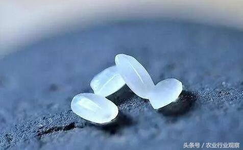 中国农业优质稻谷销售价,质量好的日本大米