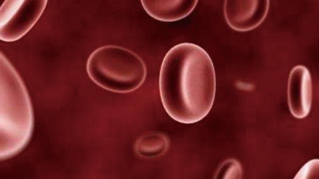 补血药多糖铁复合物胶囊怎么样,多糖铁复合物胶囊贫血吃效果好吗