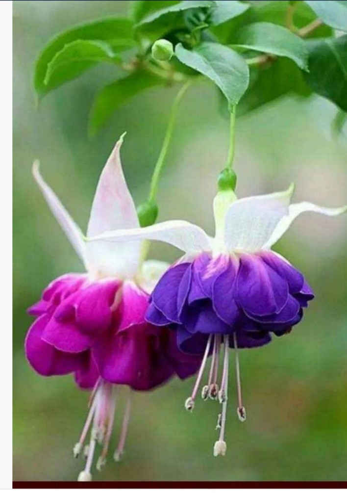 婚礼现场娘家人没有一个人去,结婚当天娘家要留一个人在家吗