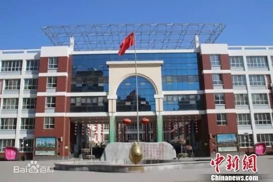 保定复兴小学和高新区小学哪个好,保定前进小学和前卫路小学哪个好