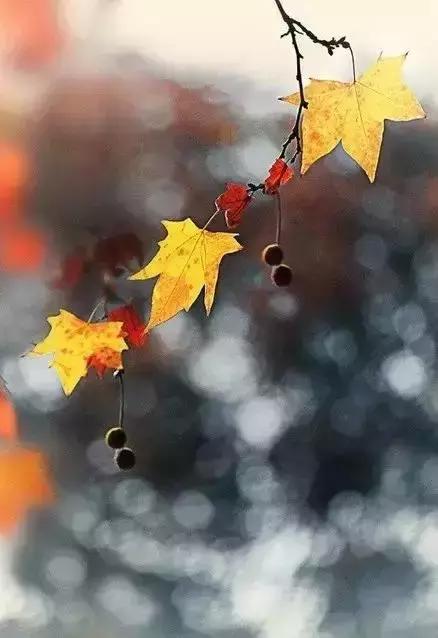 心中不缺为富被人所需为贵,心中无缺即为富被人需要即为贵