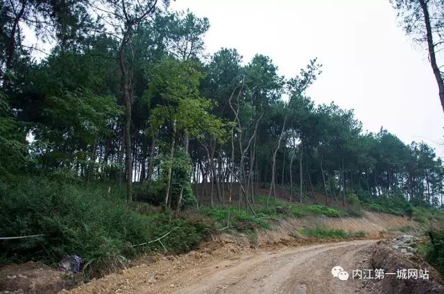 离主城最近的森林公园,离尘不离城的视频