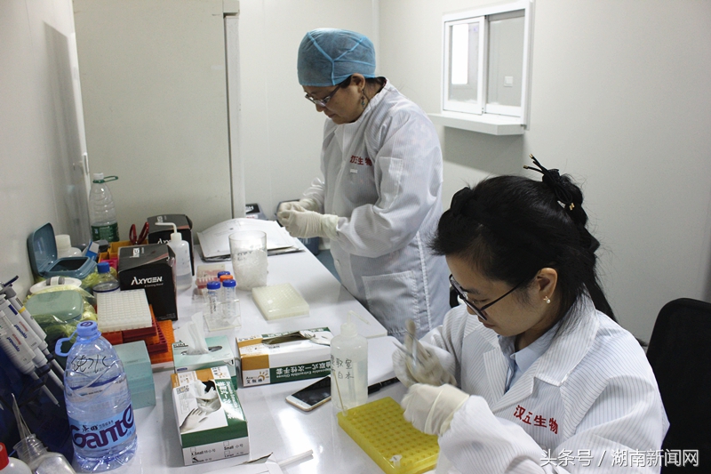 长沙归国留学创业政策,长沙归国留学创业政策咨询