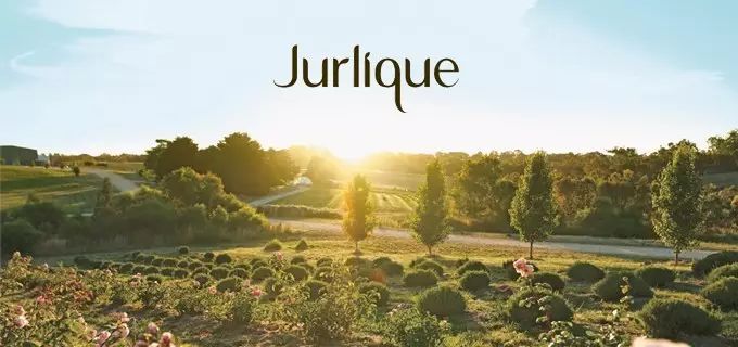 因为种玫瑰花，“她”从澳洲火到了全球！