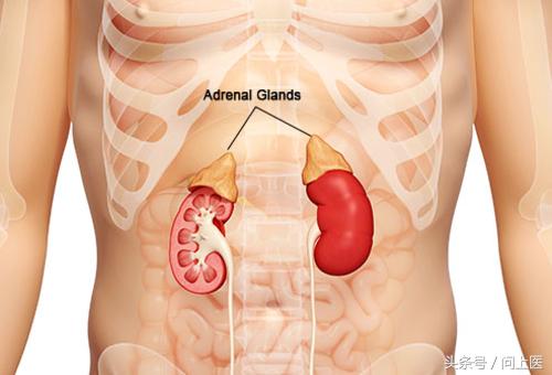 类固醇类药物是什么药,类固醇类药物有什么作用