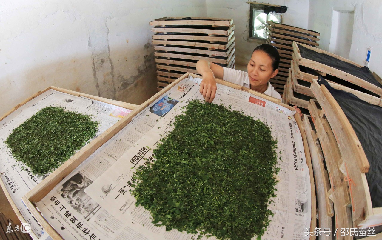 范瑟丝蚕丝被价格,丝冠蚕丝被价格查询