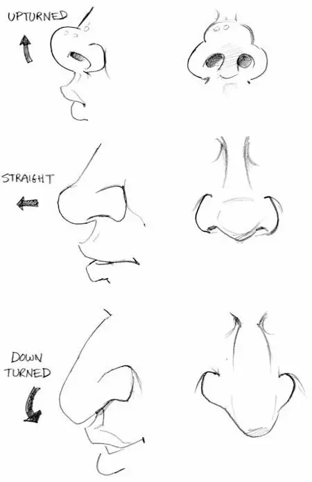 各种鼻子简笔画幼儿,简笔画鼻子的画法