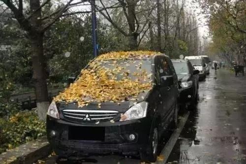 看似不起眼的车实则很重要的东西,不起眼的它